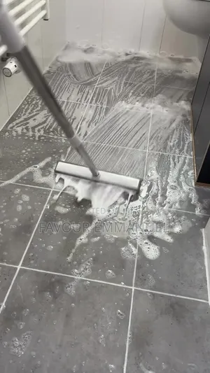 Home Cleaning Service