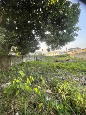800sqm of Fenced and Gated Dry Ready to Build Land With C of O