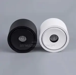 Led Spotlight Small Beam Angle Degree Spot Light