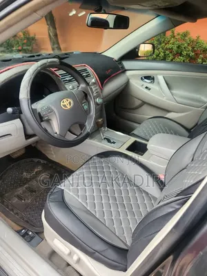 Toyota Camry XLE V6 4dr Sedan (3.5L 6cyl 6AM) 2009 Gray