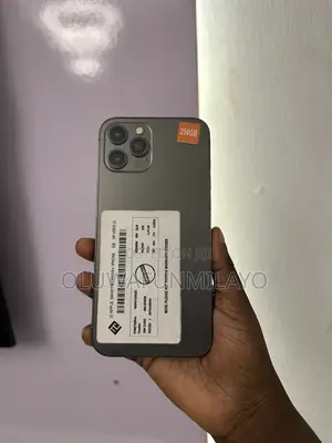 Apple iPhone 12 Pro Max 256 GB Graphite
