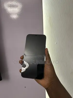 Apple iPhone 12 Pro Max 256 GB Graphite