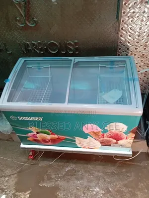 New Snowsea 480L Display Chiller Freezer Energy Saving Ice Cream