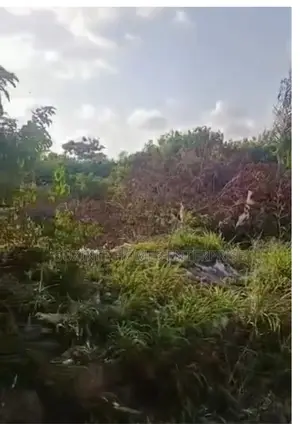 400sqm Land for Sale at Ajayi Apata