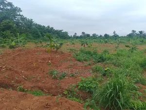 Metropolitan Farm Land