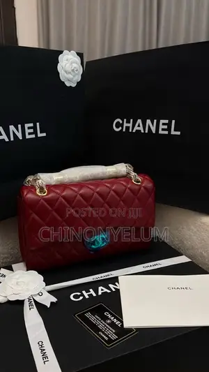 Luxury Designer Handbag for Classy Women