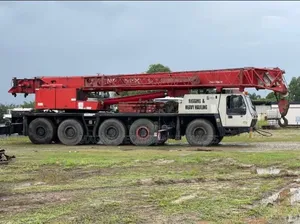 Grove 110T Motor Crane for Sale
