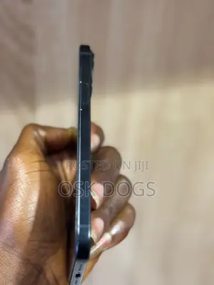 Apple iPhone 16 Pro 256 GB Black