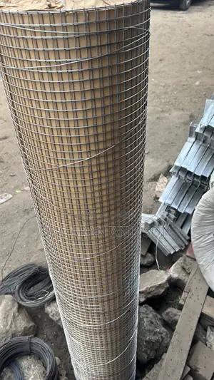 Welded Wire Mesh Roll for Plastering, Chicken ,Rabbit Cage Concrete