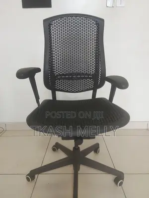 Authentic Herman Miller Celle-Original USA Office Chair