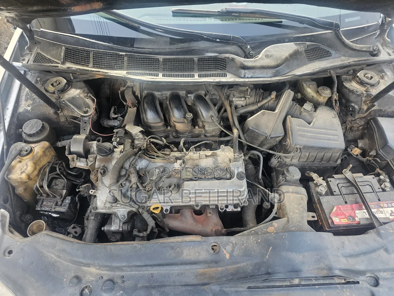 Toyota Avalon XLS 2005 White