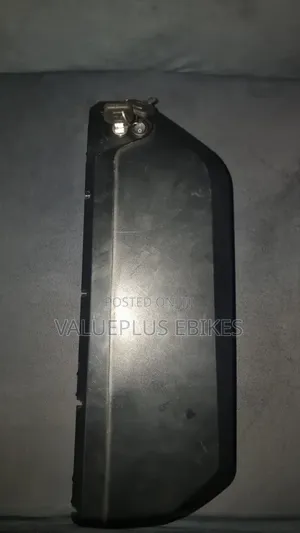 Hailong Battery Case for Electric Bike