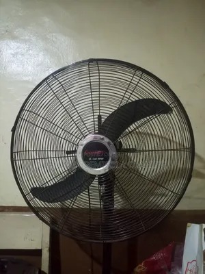 Standing Fan
