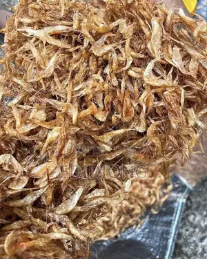 Oron Crayfish (Custard Bucket)
