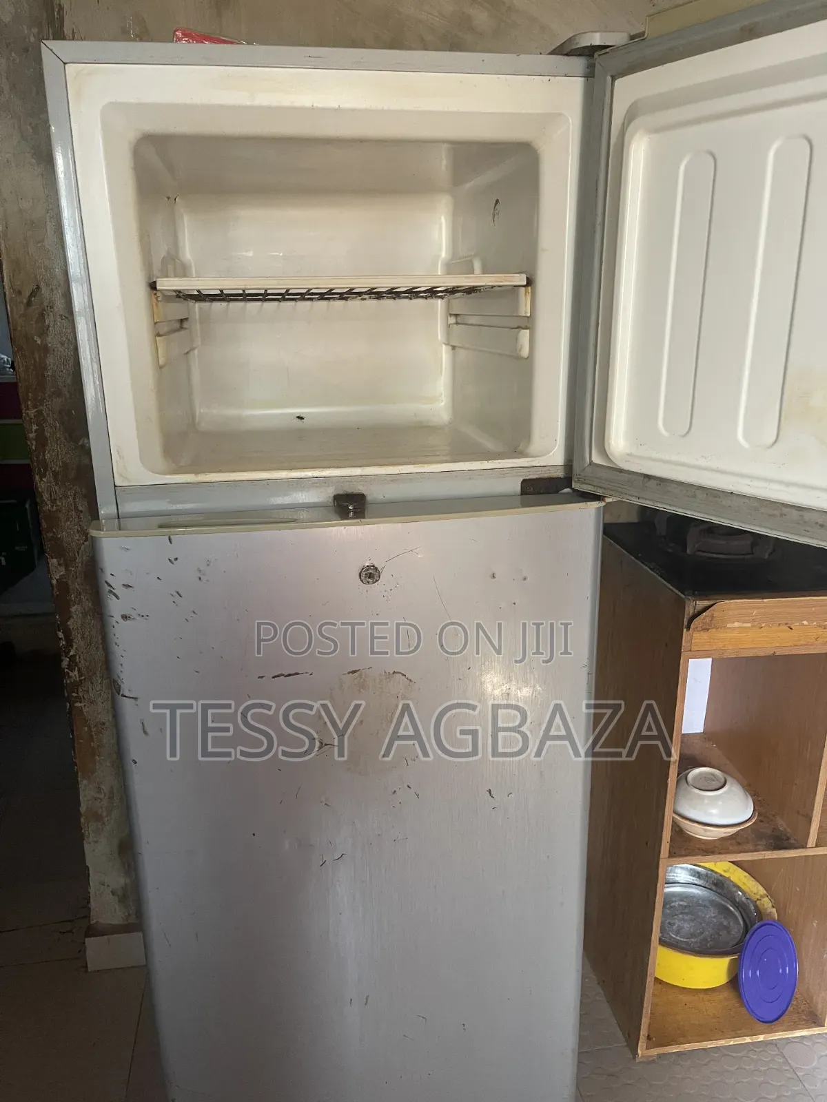 Skyrun(deep Freezer) and Thermocool(standing Fridge With Freezer).