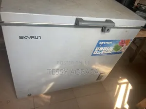 Skyrun(deep Freezer) and Thermocool(standing Fridge With Freezer).