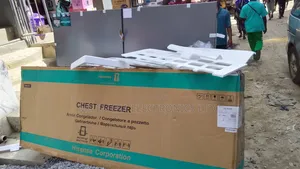 Hisense Double Door Freezer Chest