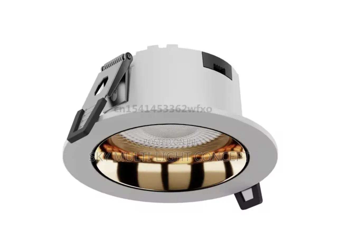 COB Downlight Spotlight