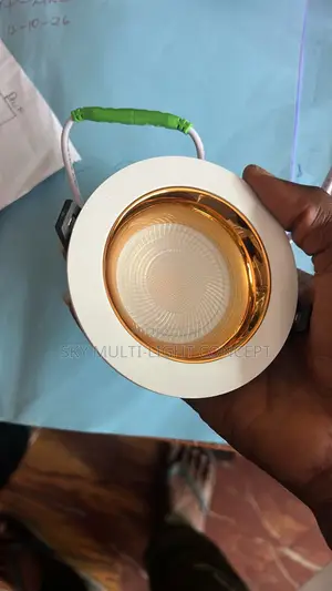 COB Downlight Spotlight