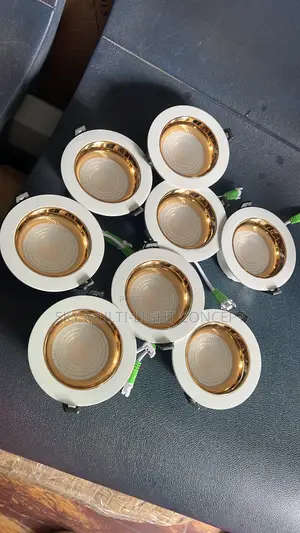 COB Downlight Spotlight
