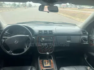 Mercedes-Benz M Class 2006 Gray