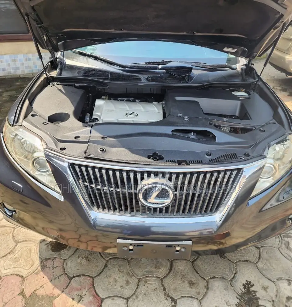 Lexus RX 350 2011 Gray