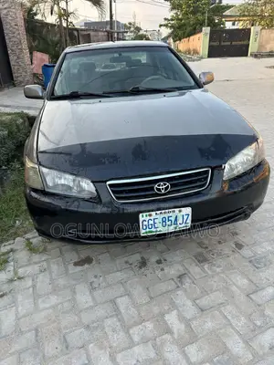 Toyota Camry 2002 Gray