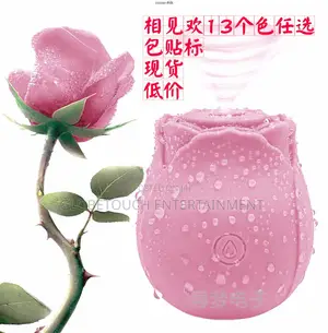 Rose Toy Vibrator Sucker