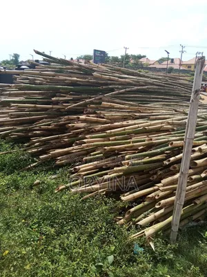 We Sell Bamboo for Scaffolding Building