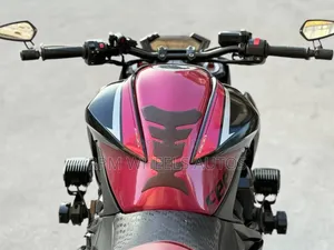 Kawasaki 2016 Red