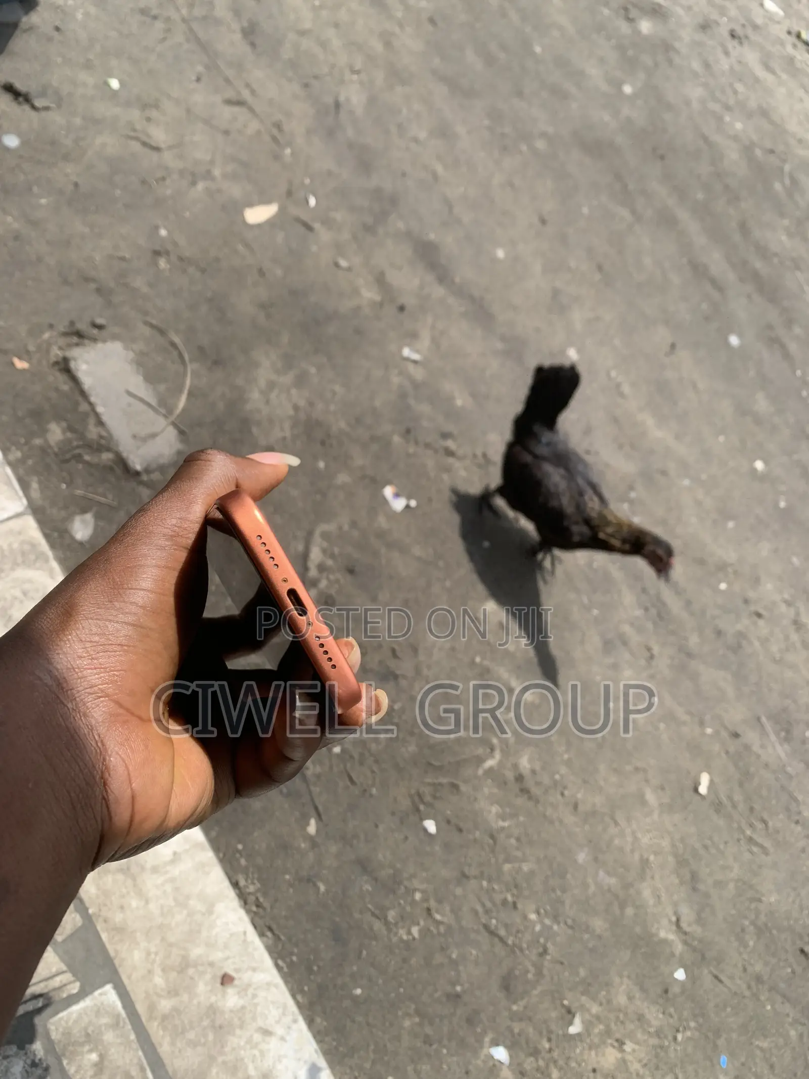 Apple iPhone 17 Pro 256 GB Orange