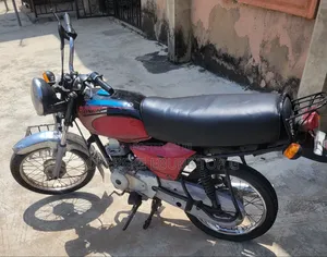 Bajaj Boxer 100 2022 Purple