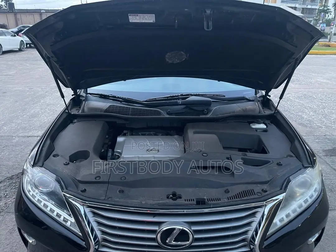 Lexus RX 2013 Blue