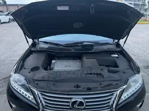 Lexus RX 2013 Blue