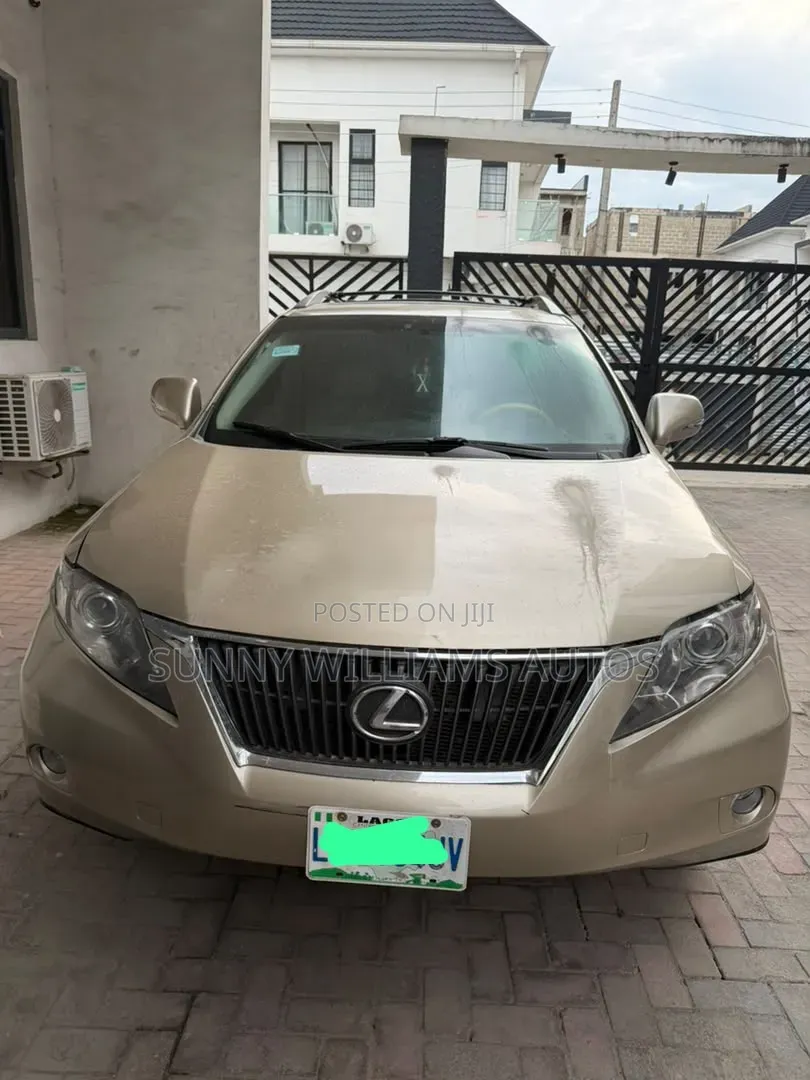 Lexus RX 2010 Brown