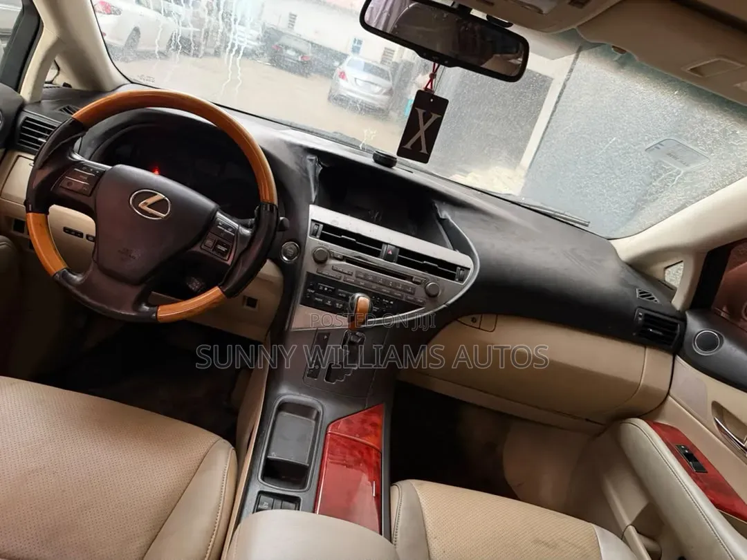 Lexus RX 2010 Brown