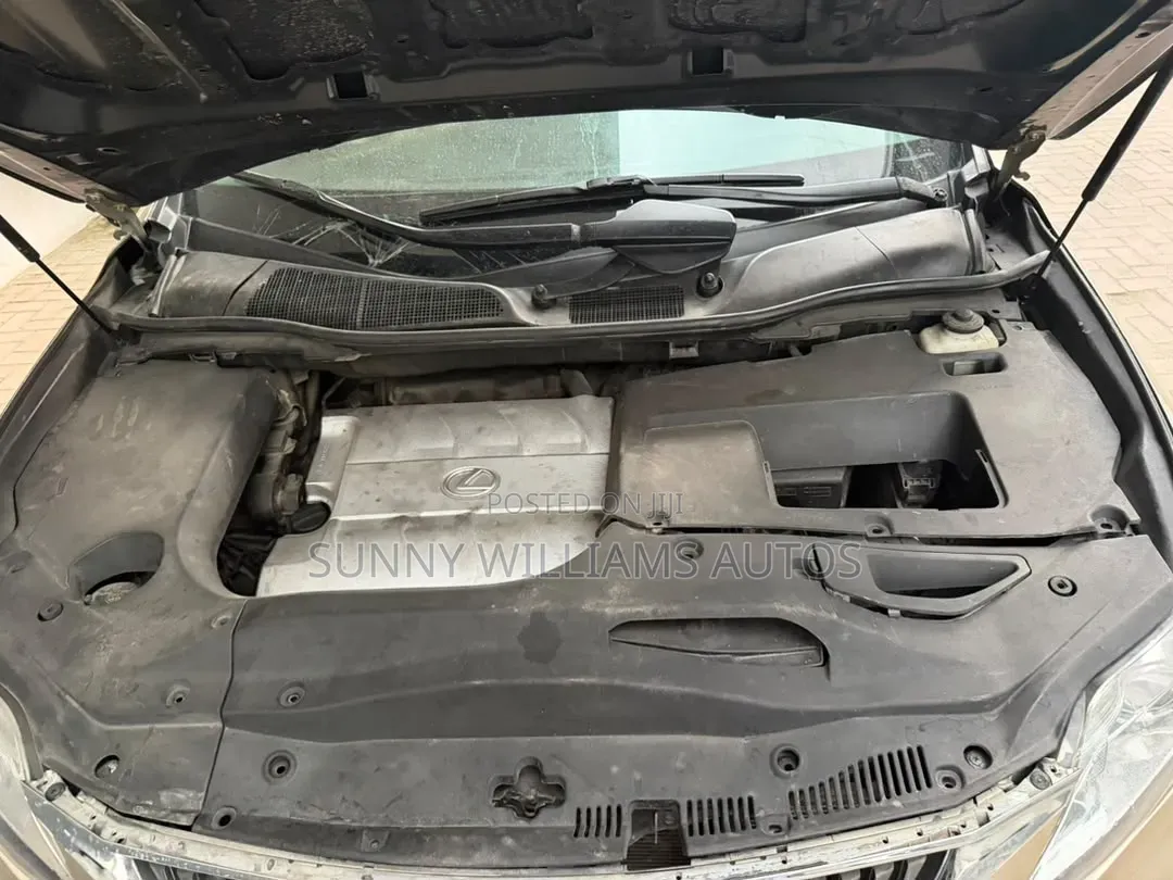 Lexus RX 2010 Brown