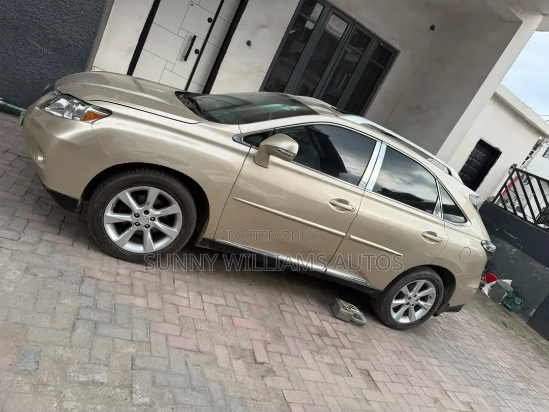 Lexus RX 2010 Brown