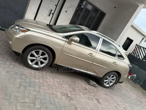 Lexus RX 2010 Brown
