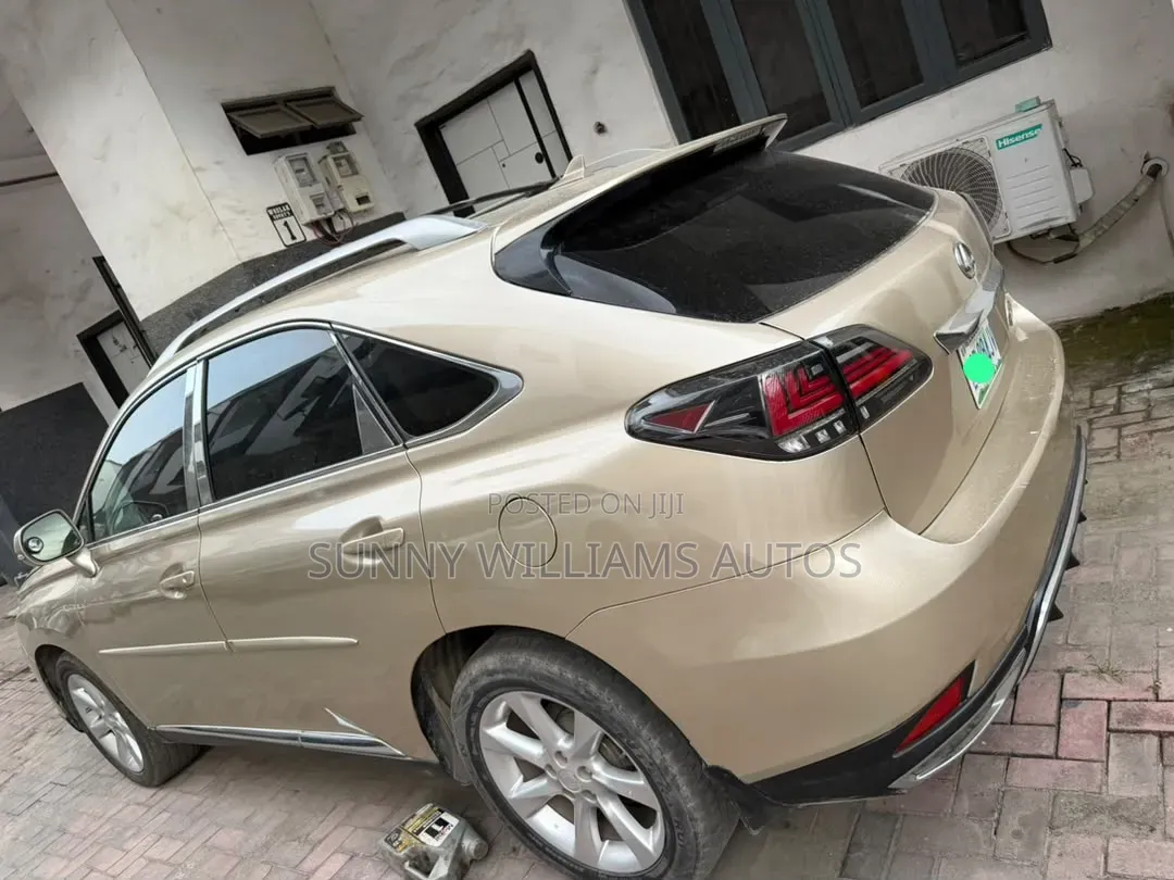 Lexus RX 2010 Brown