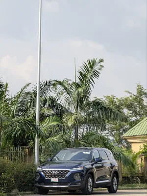 Hyundai Santa Fe 2019 Blue