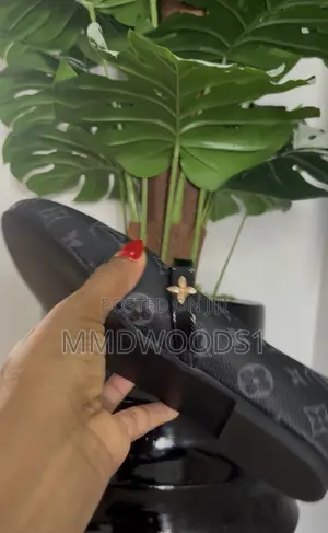 Leather LV Ballerina