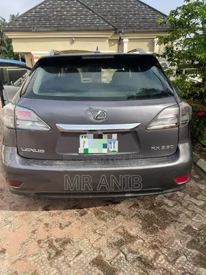 Lexus RX 2010 Gray