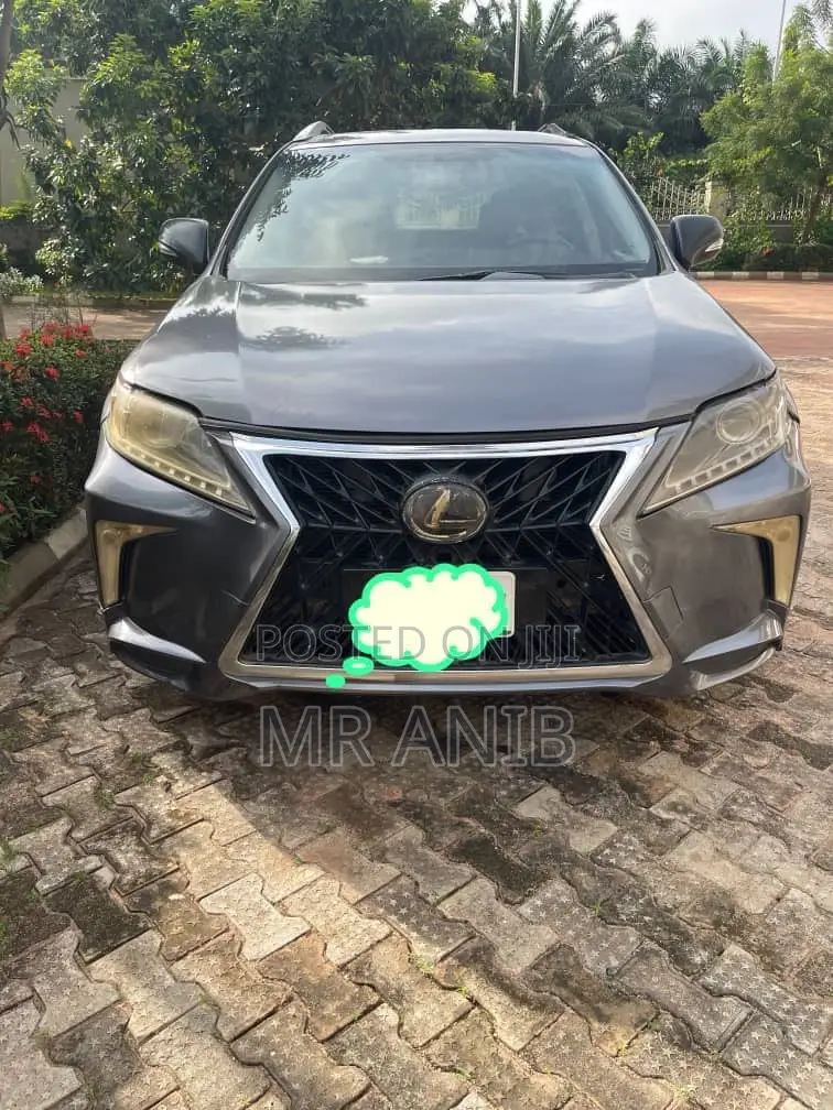 Lexus RX 2010 Gray