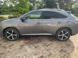 Lexus RX 2010 Gray