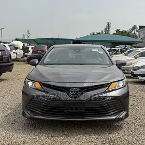 Toyota Camry LE (2.5L 4cyl 8A) 2019 Gray