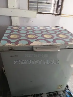 Hisesnce Deep Freezer