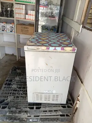 Hisesnce Deep Freezer