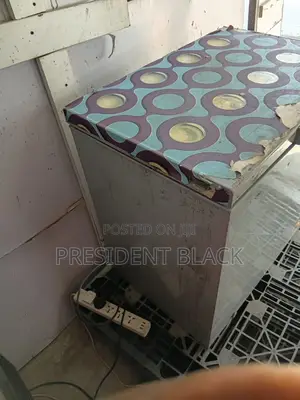 Hisesnce Deep Freezer
