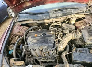 Honda Accord 2010 Pink